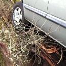 Malo brže vozila pa sletila van kolnika 