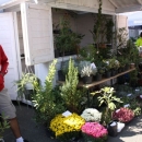 „Jesen u Lici“, najveća tradicijska manifestacija u Hrvatskoj