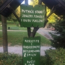 Sedmi dan hodočašća