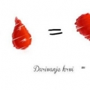 Dan dobrovoljnih darivatelja krvi - sutra slijedeća akcija