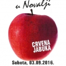 Danas "EKO 2016" u Novalji 