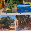 Vrtovi Lunjskih maslina na 8.International Olive Symposiumu u Splitu