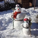 Brinjaci su prave ljudine!