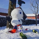 Prozorski bećar