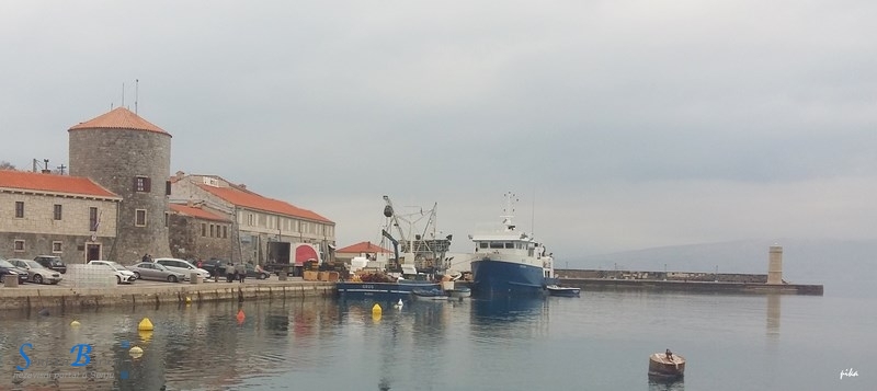Bit će ribe