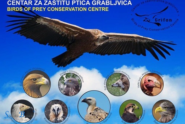 Ugašen Centar za zaštitu ptica grabljivica u Crniki