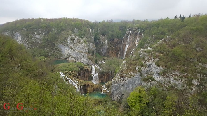 Blago tebi zelena šumice ...