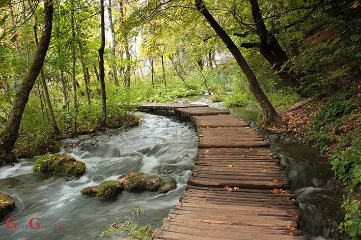 Stradala Francuskinja