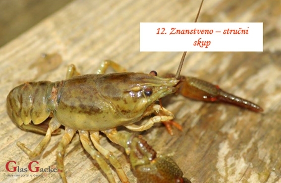 12. Znanstveno-stručni skup - 5. i 6. listopada u Otočcu