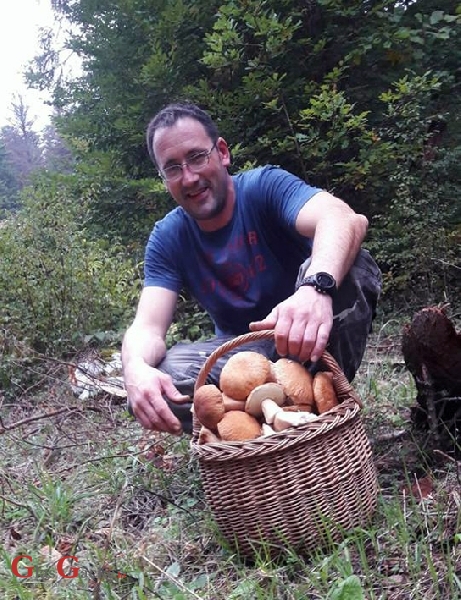 Gljive bere svatko tko drži do sebe ...