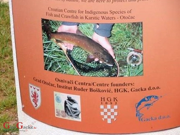 Ministarstvo gospodarstva poduprlo Hrvatski centar za autohtone vrste riba i rakova krških voda