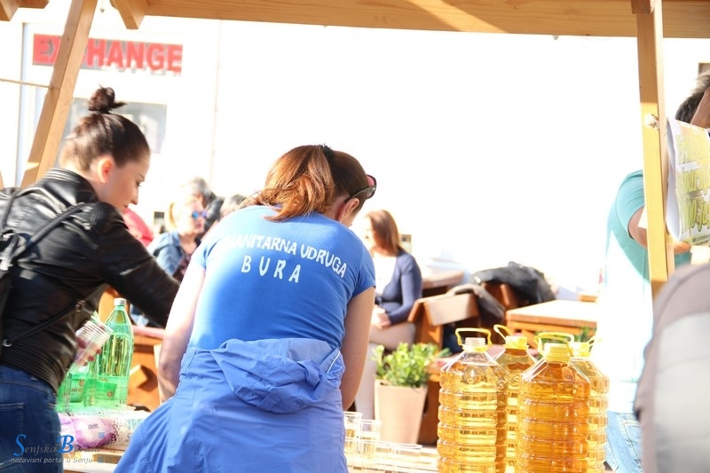 Fritaja na Potoku