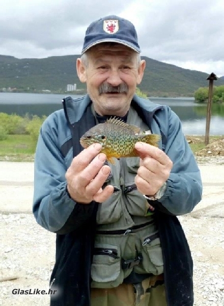 Pielić nadmudrio kapitalnu sunčanicu