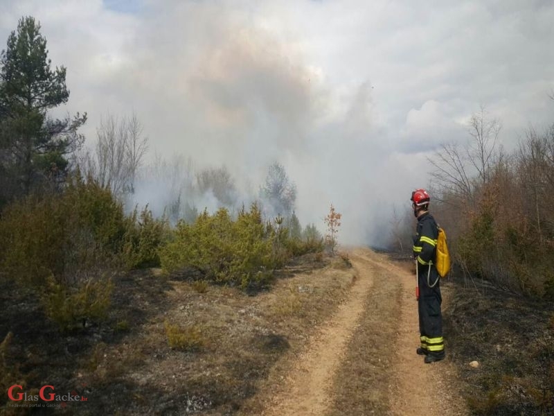 Šumski požar u Doljanima 
