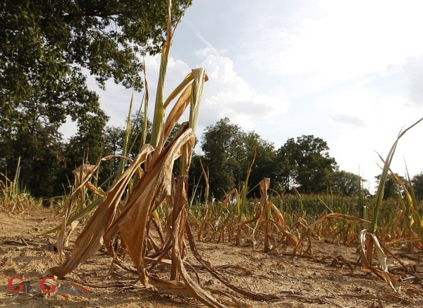 Župan proglasio elementarne nepogode suša za Brinje i Gospić 