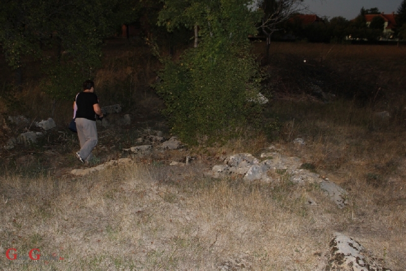 Gacke mlinice: Malcetina malenica (6)