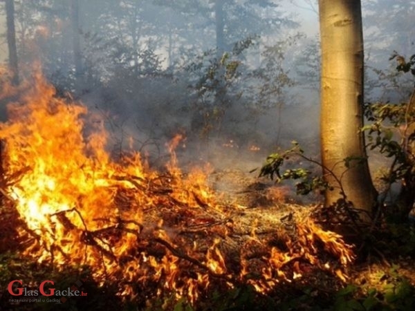 Jučer izgorjelo 20 hektara šume u Kuterevu i Ponorima 