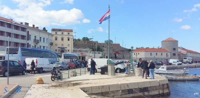 Prve lastavice u Senju