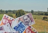 Sutra počinje isplata daljnjih potpora seljacima Sutra počinje isplata daljnjih potpora seljacima