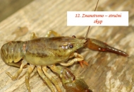 12. Znanstveno-stručni skup - 5. i 6. listopada u Otočcu 12. Znanstveno-stručni skup - 5. i 6. listopada u Otočcu