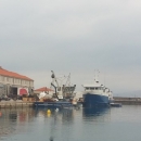 Bit će ribe