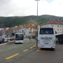 Prve lastavice u Senju