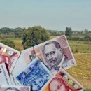 Sutra počinje isplata daljnjih potpora seljacima