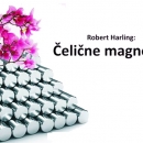 Čelične magnolije idu na državni festival