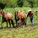 U Javnoj raspravi Zakon o OPG-u