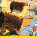 Promocija brošure Med Senja i okolice