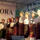 FD Otočac izvelo ivanjske običaje u Gackoj