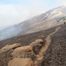 Požar na južnoj granici NP Sjeverni Velebit