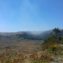 Obuzdan požar na Velebitu