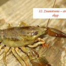 12. Znanstveno-stručni skup - 5. i 6. listopada u Otočcu