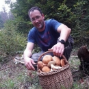 Gljive bere svatko tko drži do sebe ...