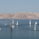 25. senjska regata