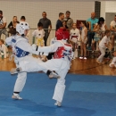 Održan 18. taekwondo turnir "Senjski vitezovi"