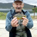 Pielić nadmudrio kapitalnu sunčanicu