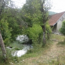 Gacke mlinice: nezaboravni Ćićini zapisi (4)
