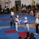 Festival sporta danas u Otočcu - "16.GACKA OPEN 2017" 