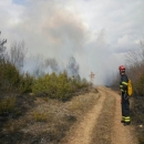 Šumski požar u Doljanima 