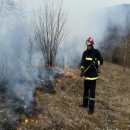 Šumski požar u Doljanima 