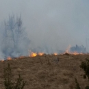 Šumski požar u Doljanima 