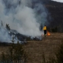 Šumski požar u Doljanima 