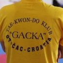 Festival sporta danas u Otočcu - "16.GACKA OPEN 2017" 