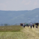 Natjecanje u preciznom slijetanju aviona na Aerodromu Otočac 
