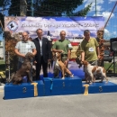 Specijalna izložba pasa, CAC Gospić 2017.