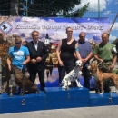 Specijalna izložba pasa, CAC Gospić 2017.