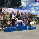 Specijalna izložba pasa, CAC Gospić 2017.