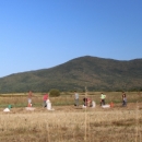 Uranile berbe krumpira